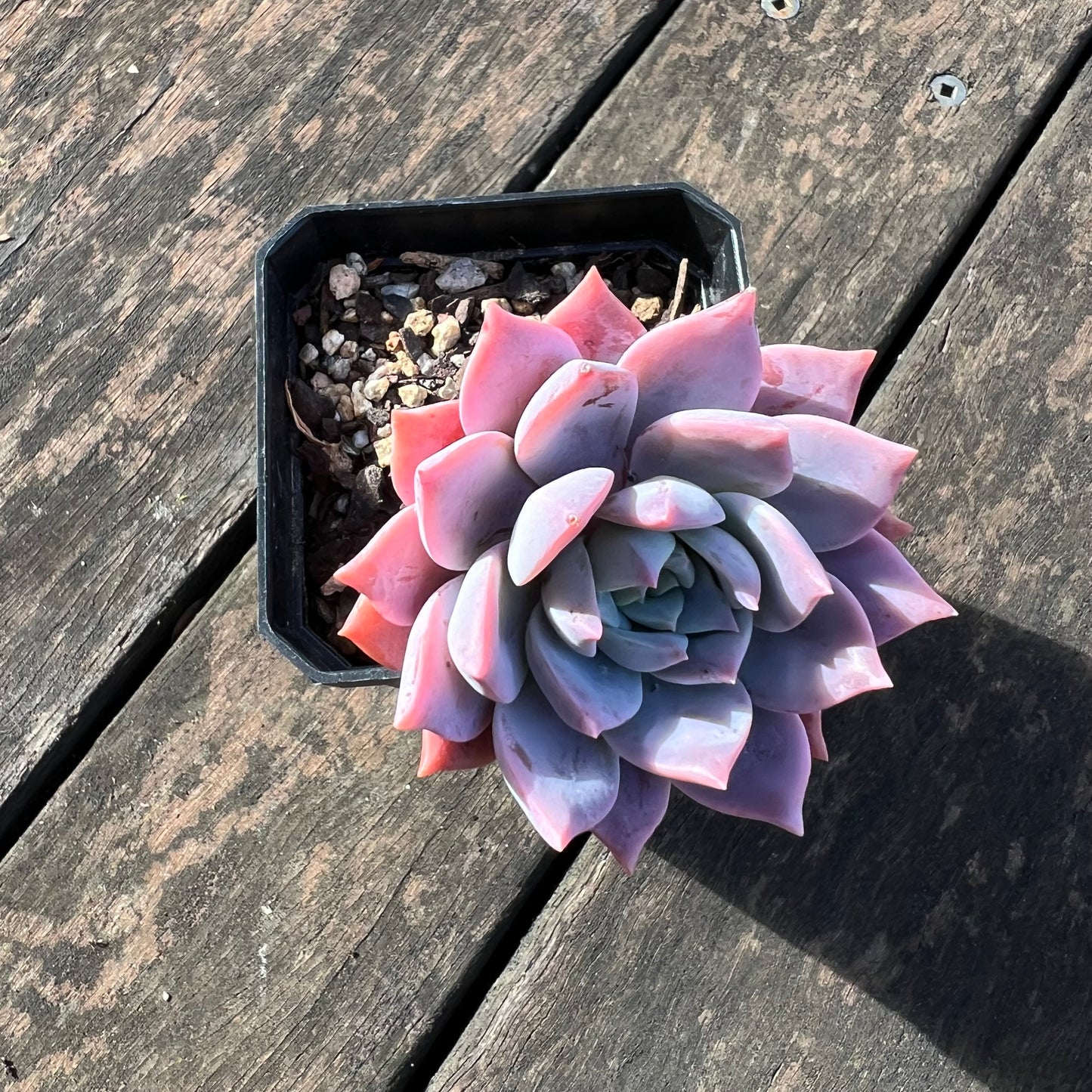 0406 Milky Way 银河