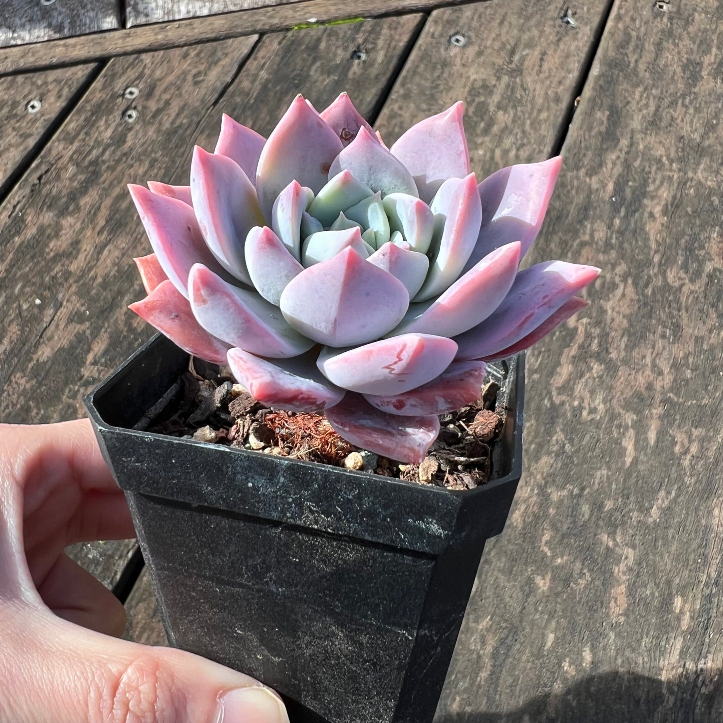 0406 Milky Way 银河