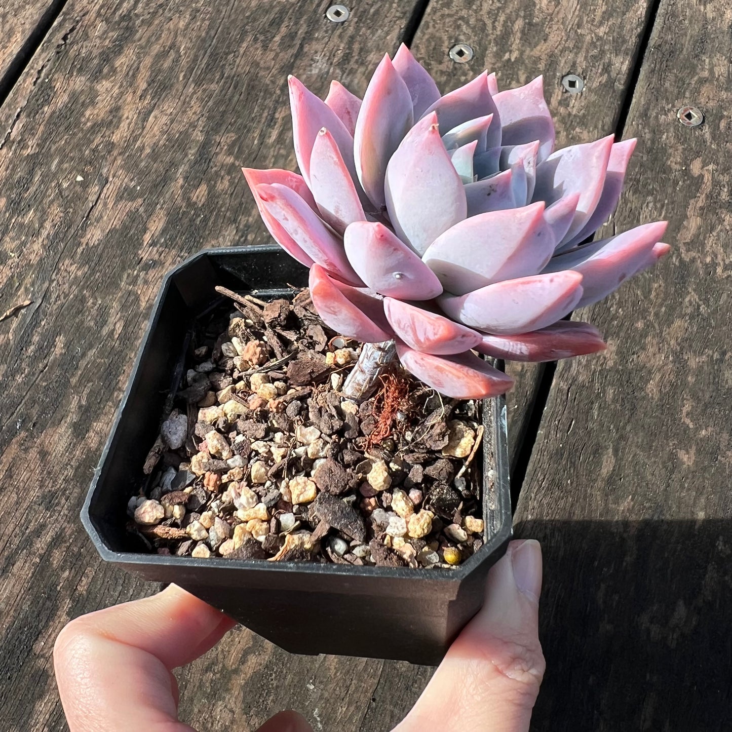 0406 Milky Way 银河