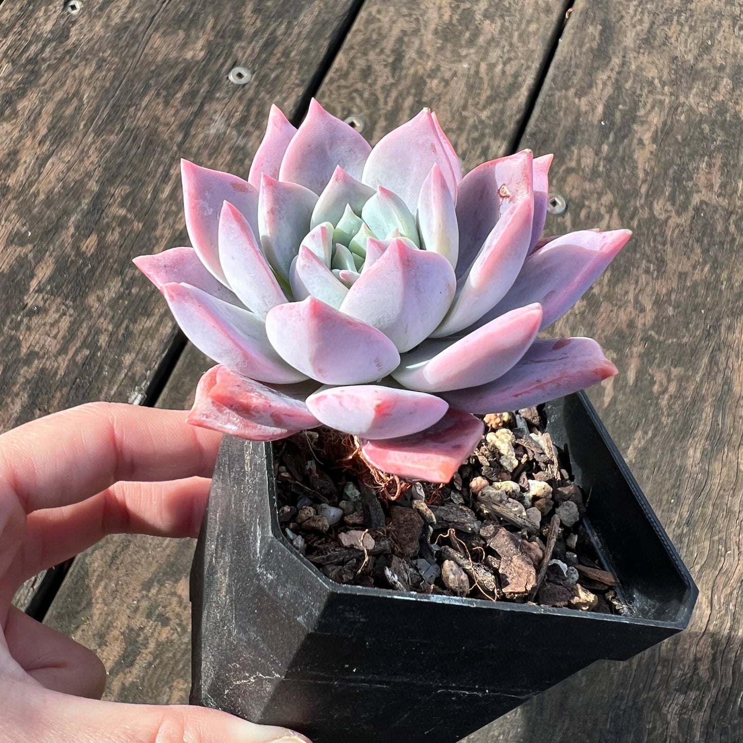 0406 Milky Way 银河