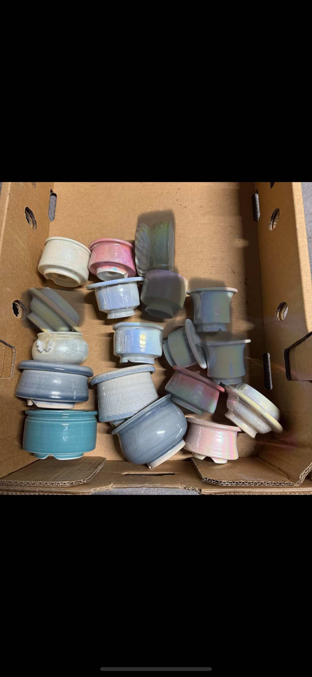 2406 月影奶油玫瑰