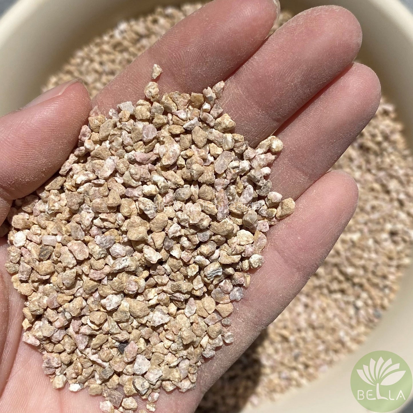 Golden Maifan Stone (Medical Stone)