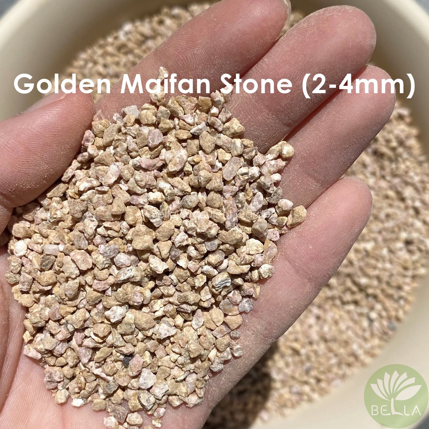 Golden Maifan Stone (Medical Stone)