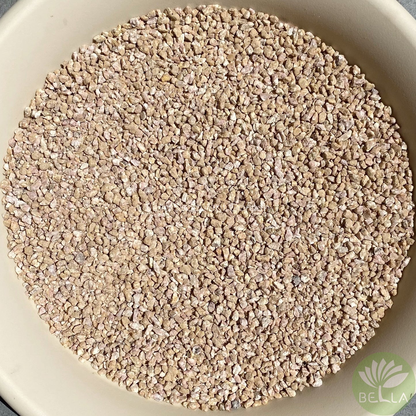 Golden Maifan Stone (Medical Stone)