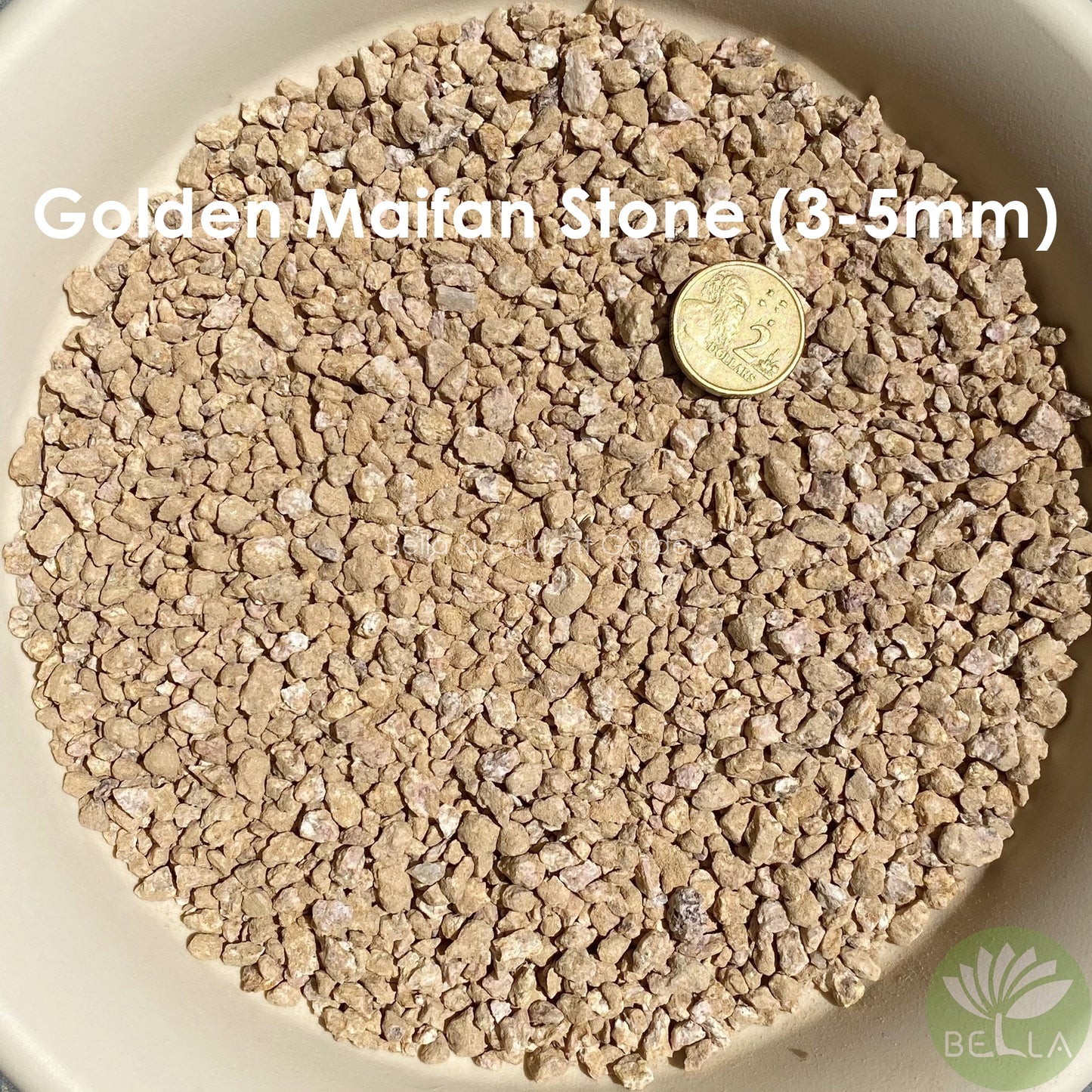 Golden Maifan Stone (Medical Stone)
