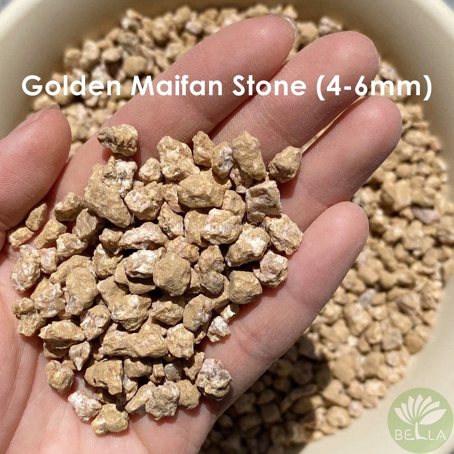 Golden Maifan Stone (Medical Stone)