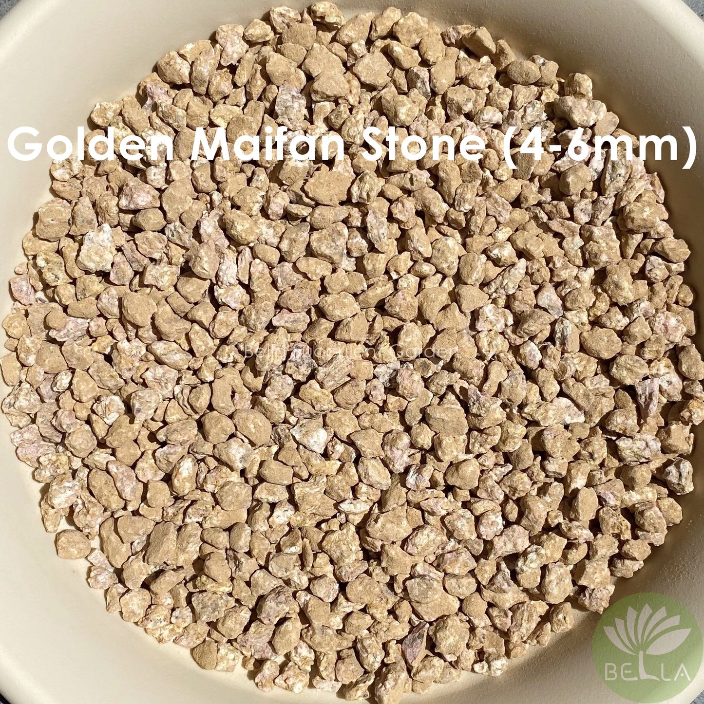 Golden Maifan Stone (Medical Stone)