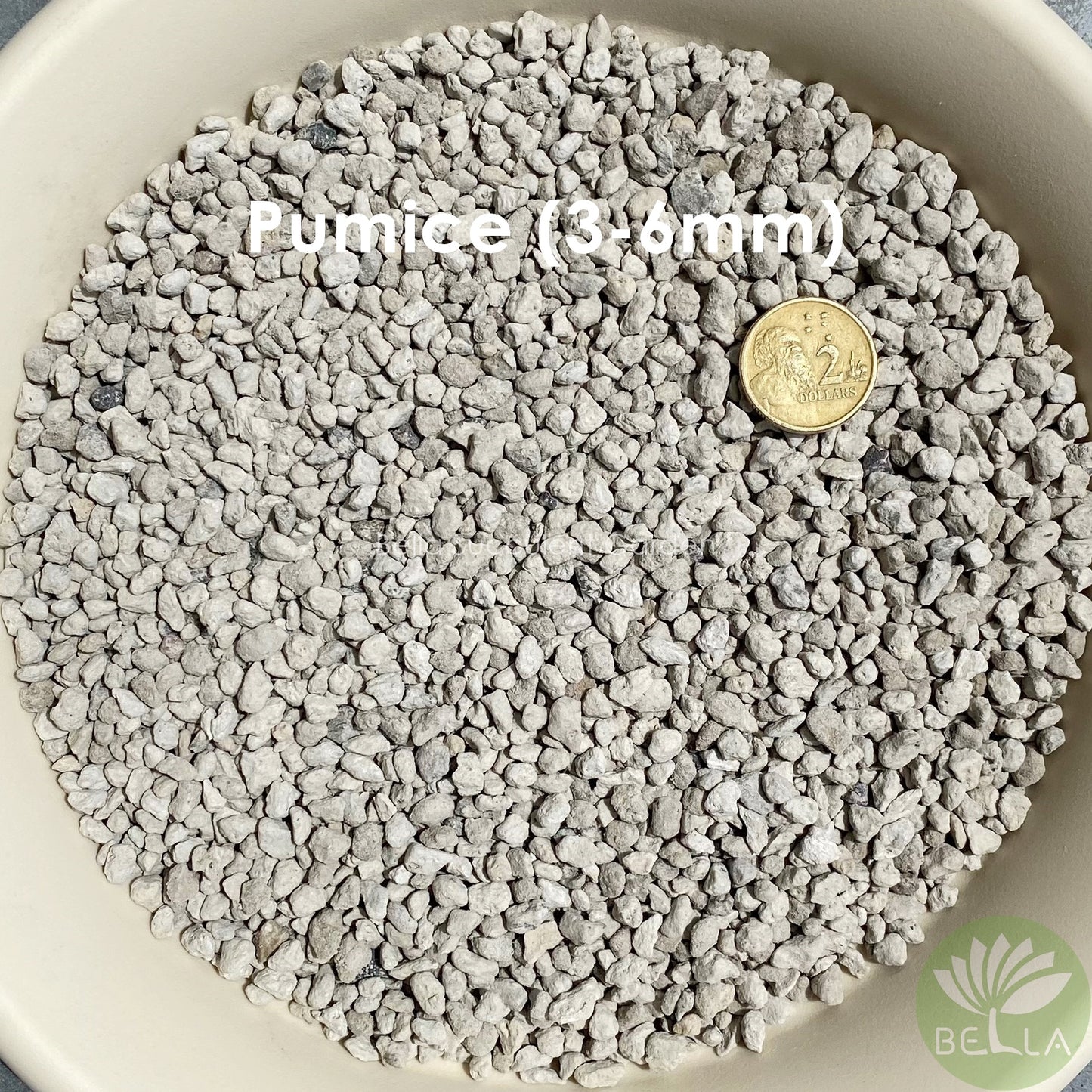 轻石 (Pumice)