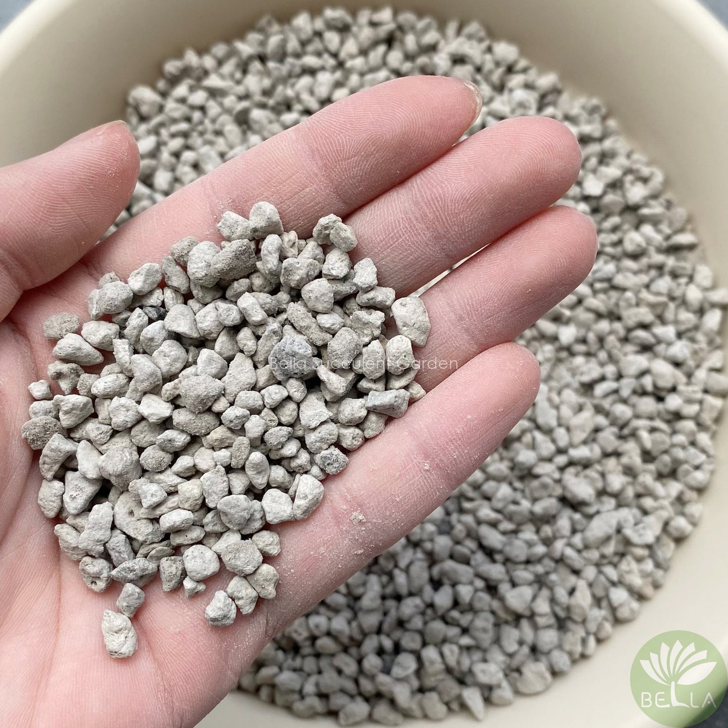 轻石 (Pumice)