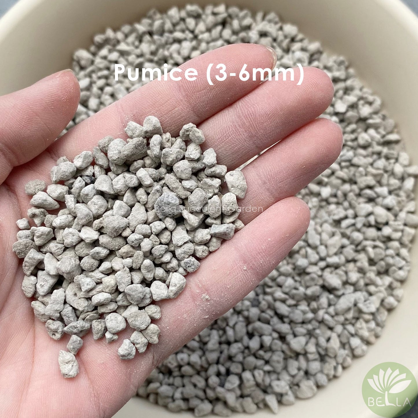 轻石 (Pumice)