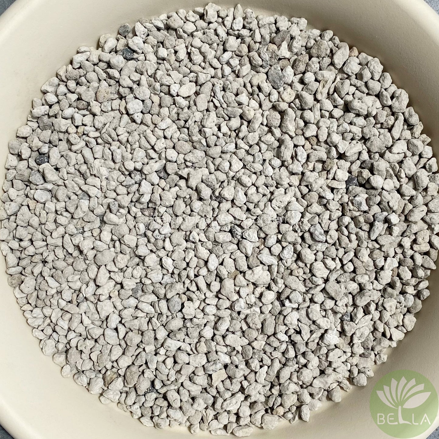 轻石 (Pumice)