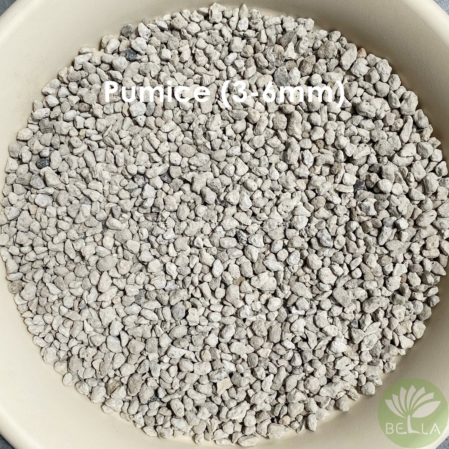 轻石 (Pumice)